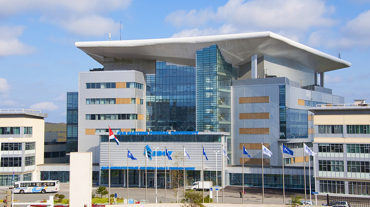 Сессия под ключ ДВФУ